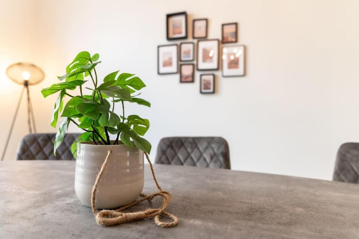 Beautiful Renovated Apartment In An Authentic Building Ostende Kültér fotó